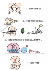 161647396633300647.png 161647396633300647.png