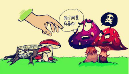 071651909824279526.png 图片3.png