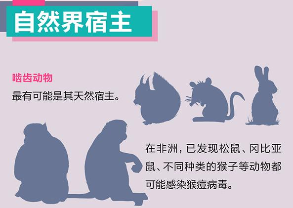 271658907892112154.jpeg 271658907892112154.jpeg