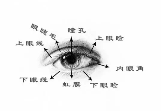 071686101634549901.jpeg 071686101634549901.jpeg