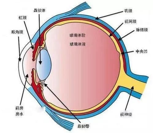 071686101660144504.jpeg 071686101660144504.jpeg